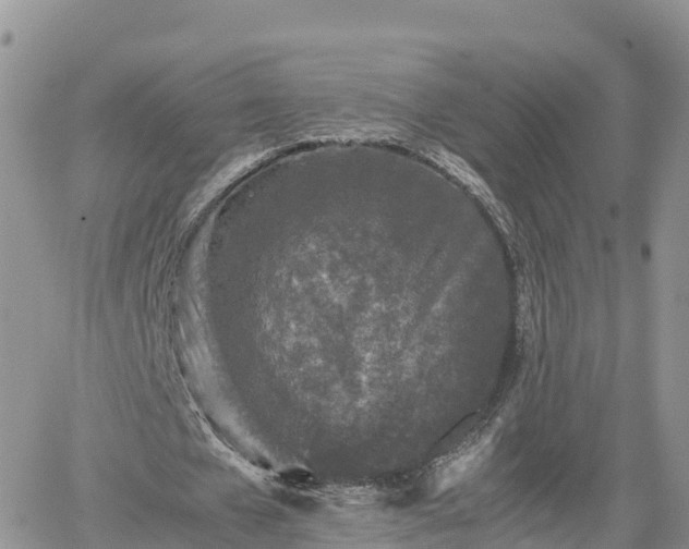 X0000062170577200512121243