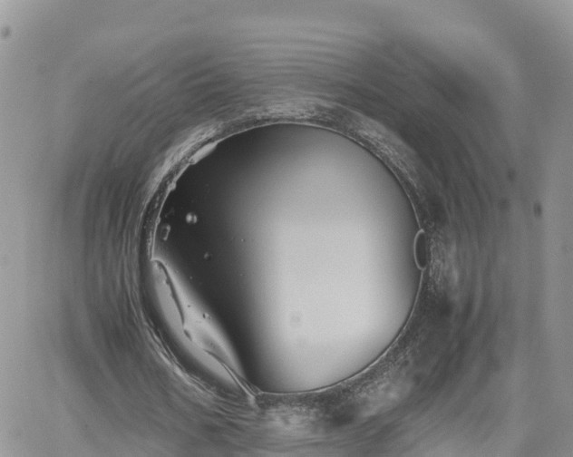 X0000062170578200512121243