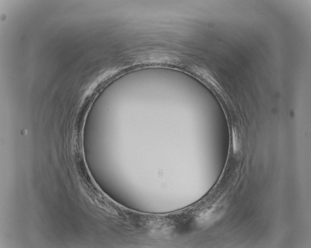 X0000062170579200512121243