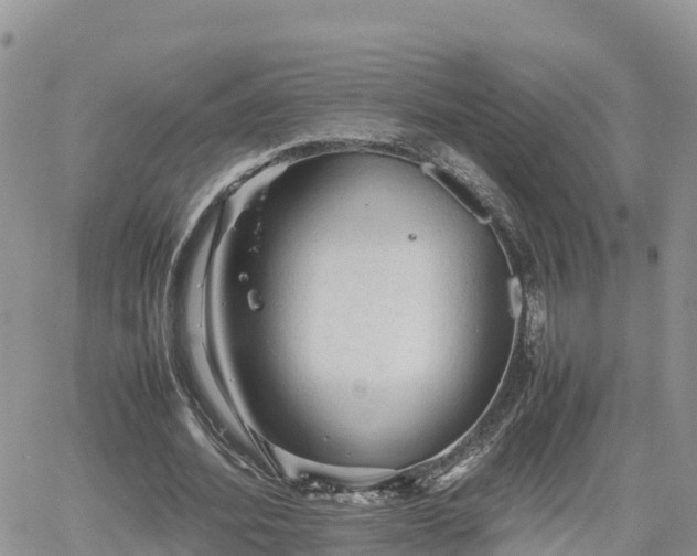 X0000062170580200512121243