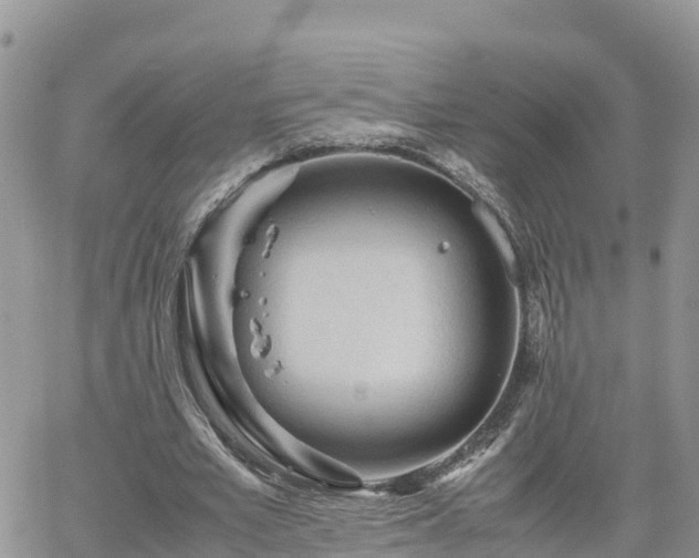 X0000062170581200512121242