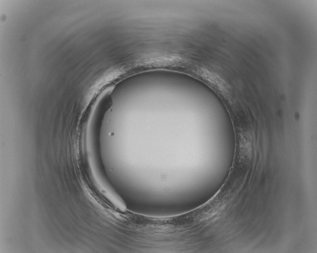 X0000062170582200512121242