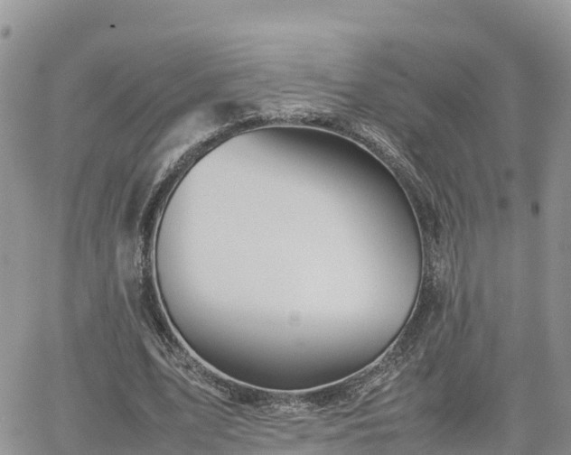 X0000062170583200512121242