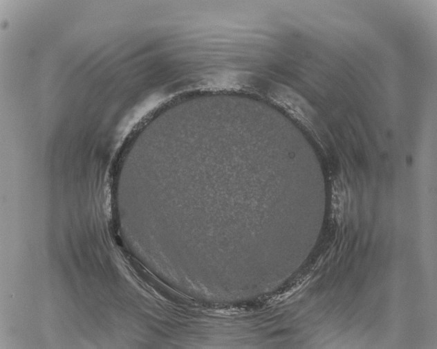 X0000062170584200512121242