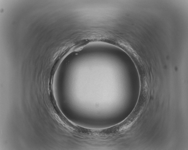 X0000062170585200512121242