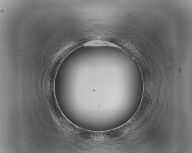 X0000062170587200512121242