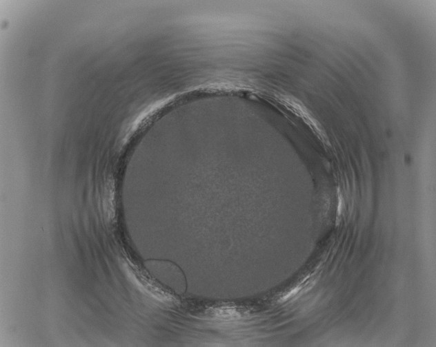 X0000062170588200512121242