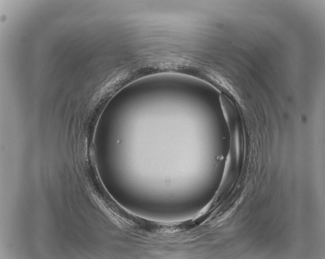 X0000062170589200512121242