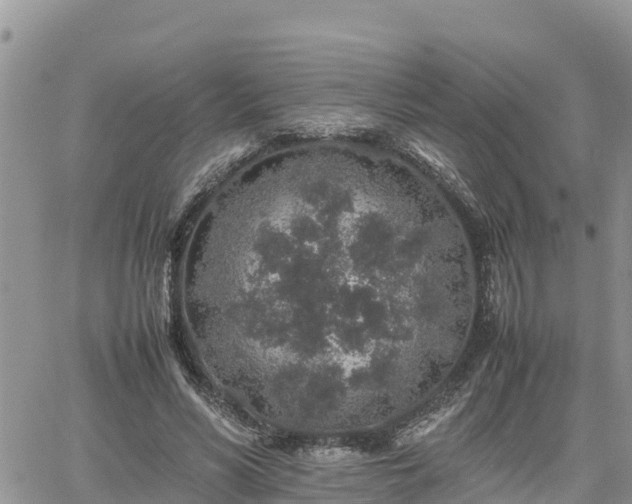 X0000062170590200512121242