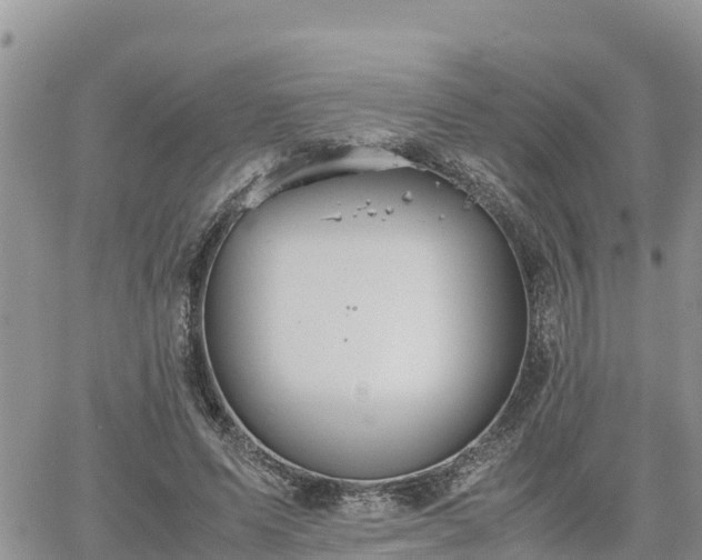 X0000062170591200512121242