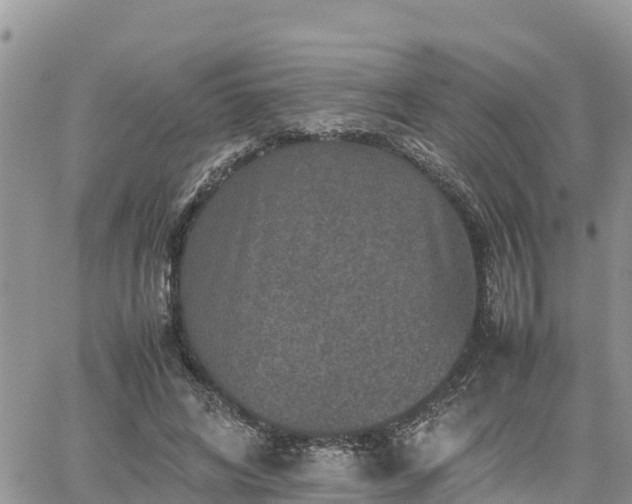 X0000062170592200512121242