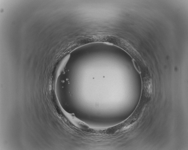 X0000062170593200512121242