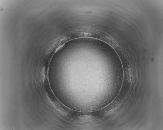 X0000062170594200512121242