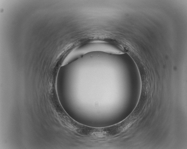 X0000062170595200512121242