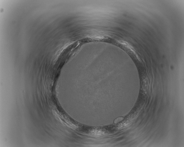 X0000062170596200512121242