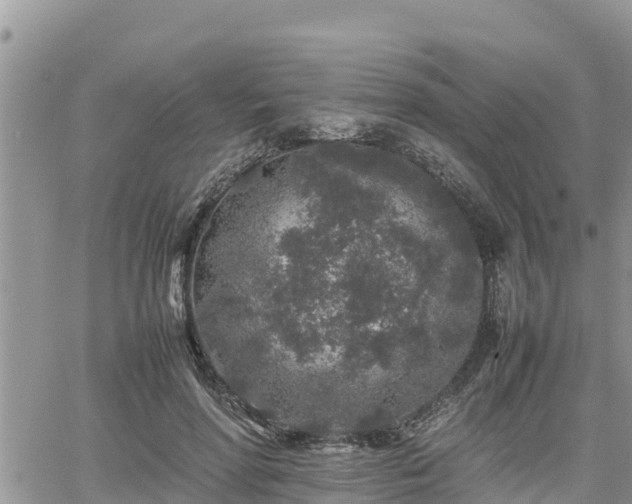 X0000062170598200512121242