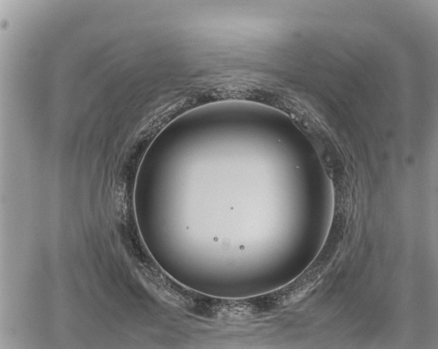 X0000062170599200512121242