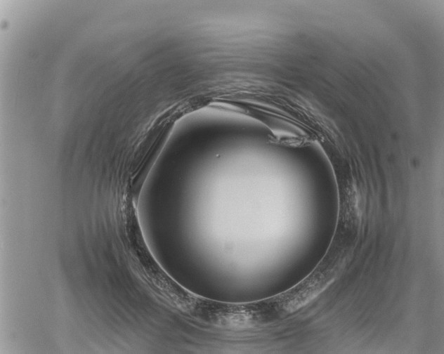 X0000062170600200512121242