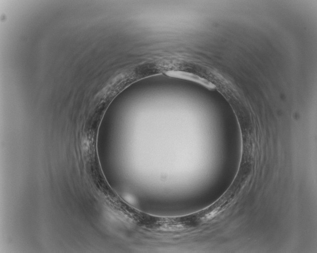 X0000062170601200512121242