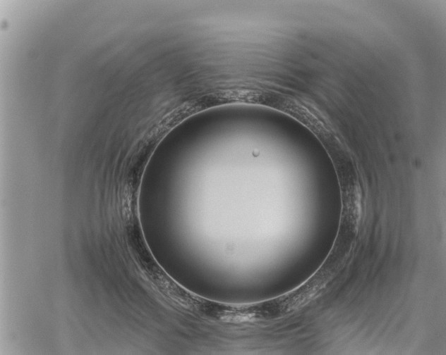 X0000062170602200512121242