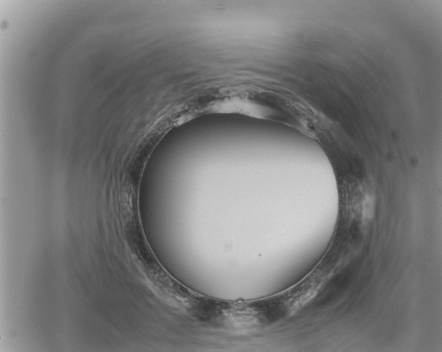 X0000062170603200512121242