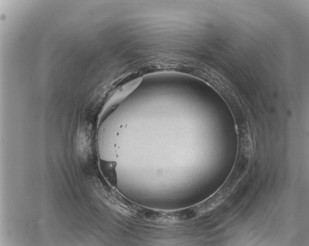 X0000062170604200512121242