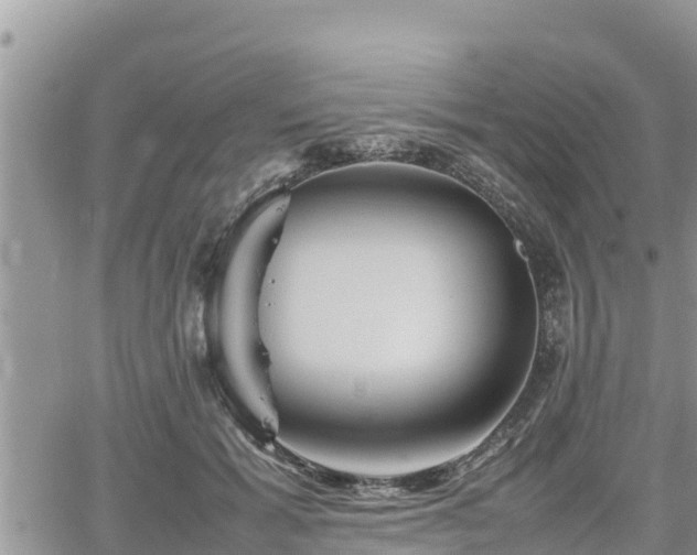 X0000062170605200512121242