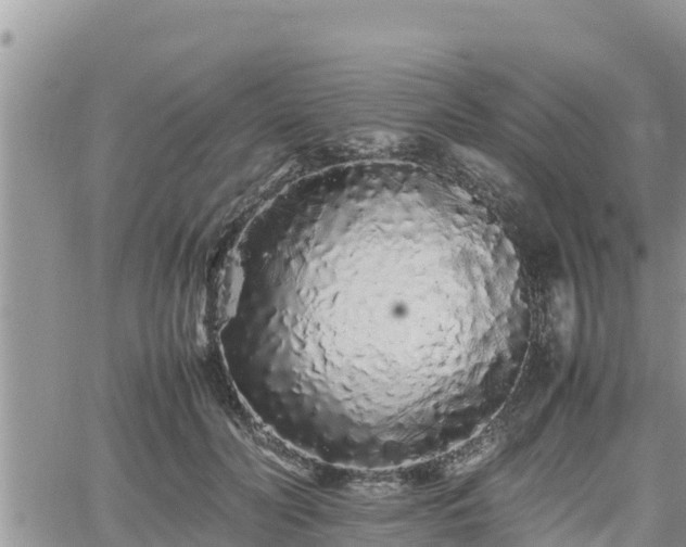 X0000062170606200512121242