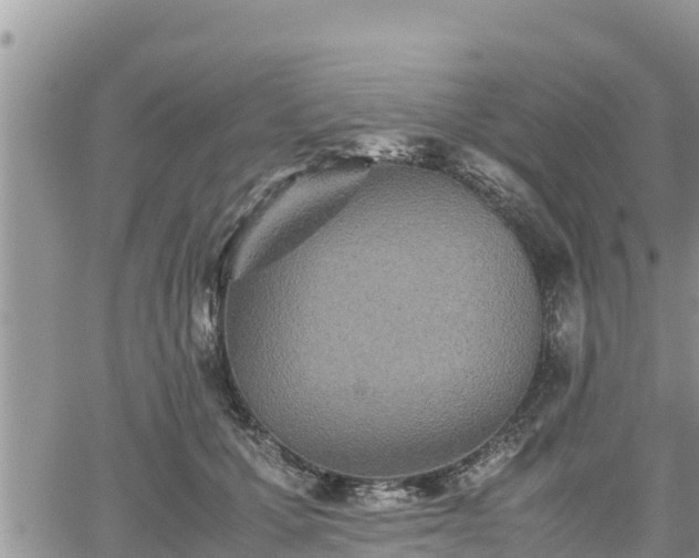 X0000062170607200512121242