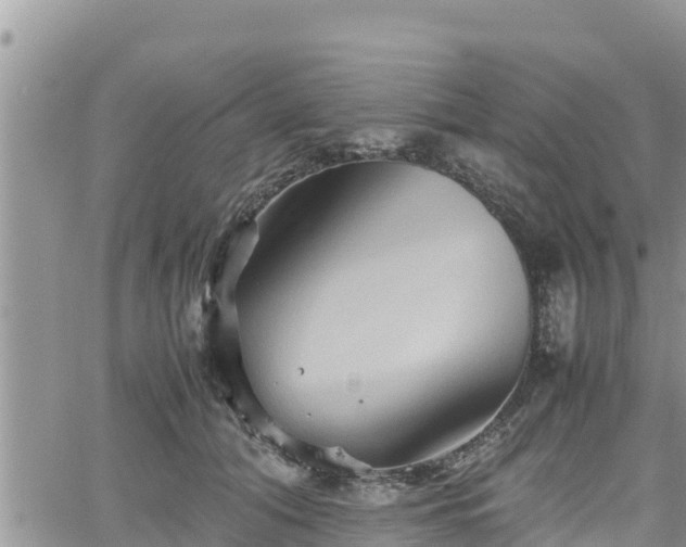 X0000062170608200512121242