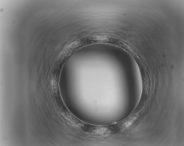 X0000062170609200512121242