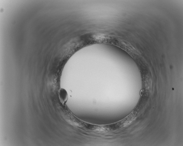 X0000062170611200512121242