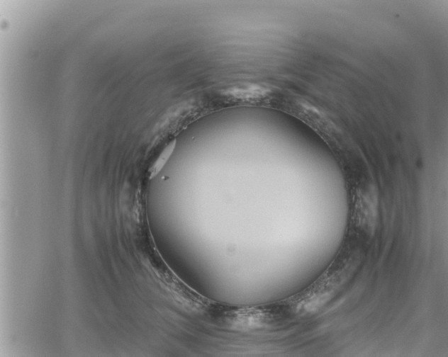 X0000062170612200512121242