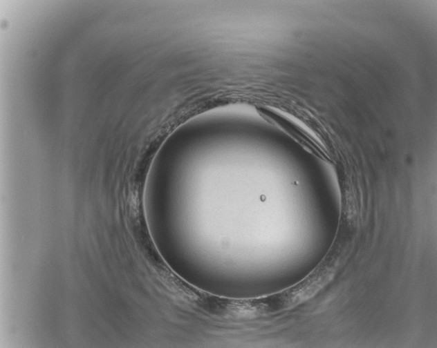 X0000062170613200512121242