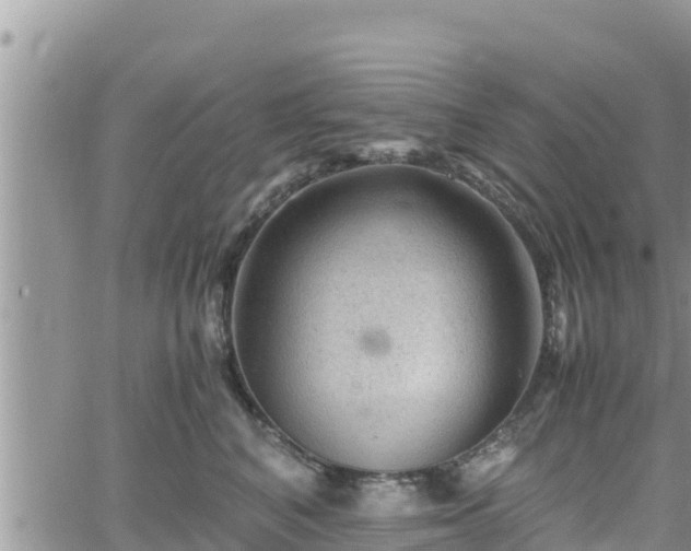 X0000062170616200512121242