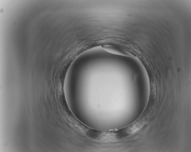 X0000062170617200512121242