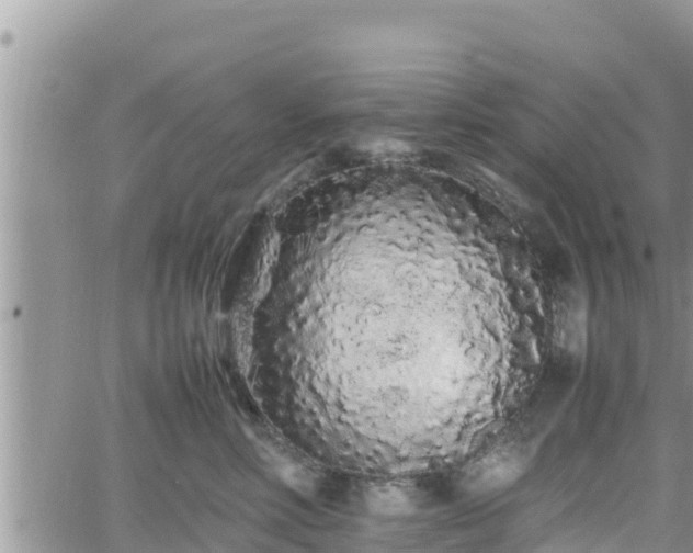 X0000062170618200512121242