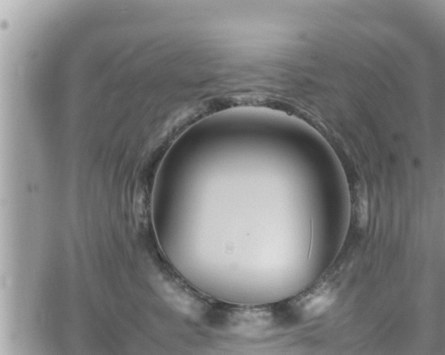 X0000062170619200512121242