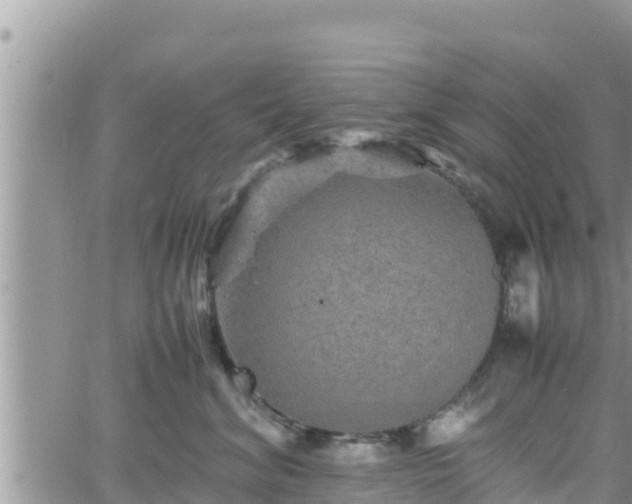 X0000062170620200512121242