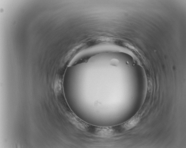 X0000062170621200512121242