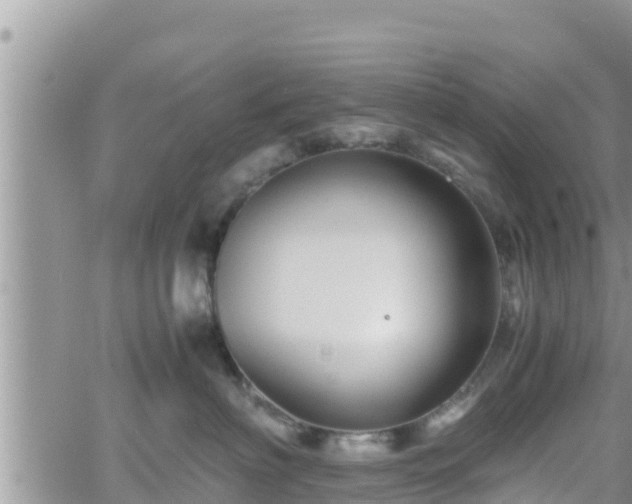 X0000062170622200512121242