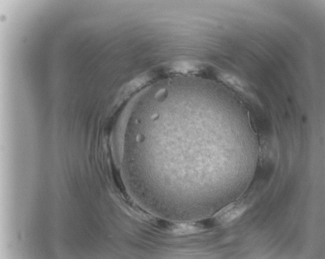 X0000062170623200512121242