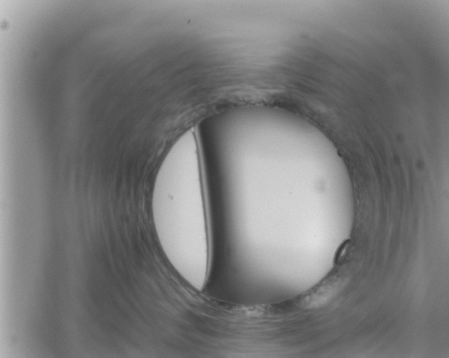 X0000062170624200512121242