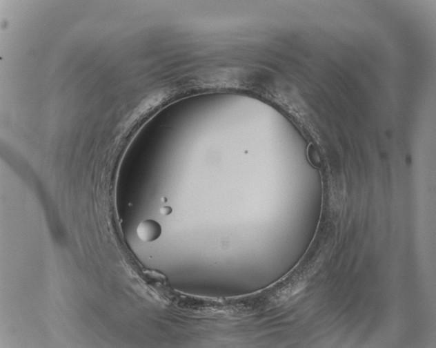 X0000062170625200512121241