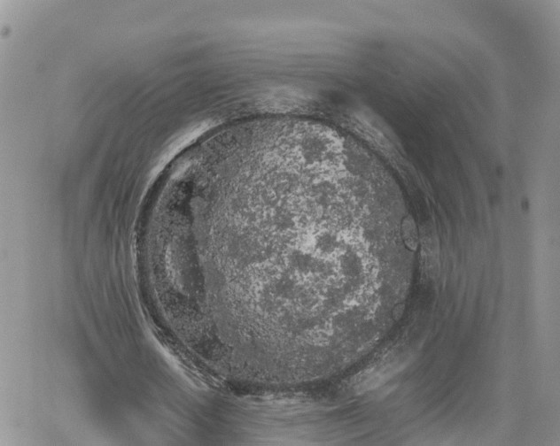 X0000062170626200512121241