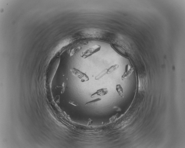 X0000062170627200512121241