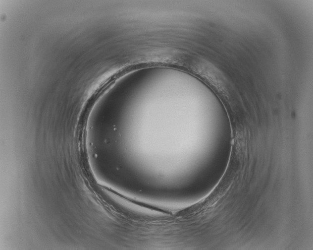 X0000062170628200512121241