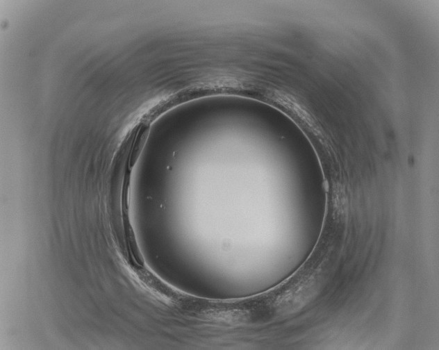 X0000062170629200512121241