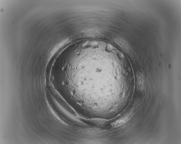 X0000062170630200512121241