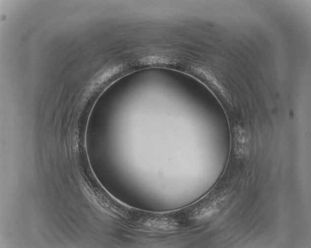 X0000062170631200512121241